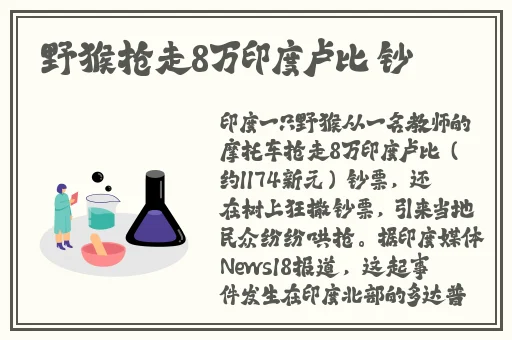 少女免费观看片TV哔哩哔哩