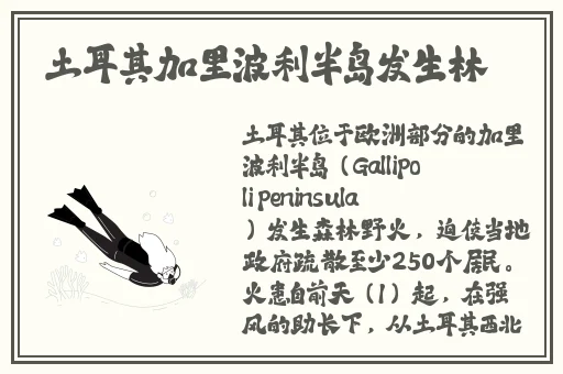 摇床和喘气声音音频一样吗